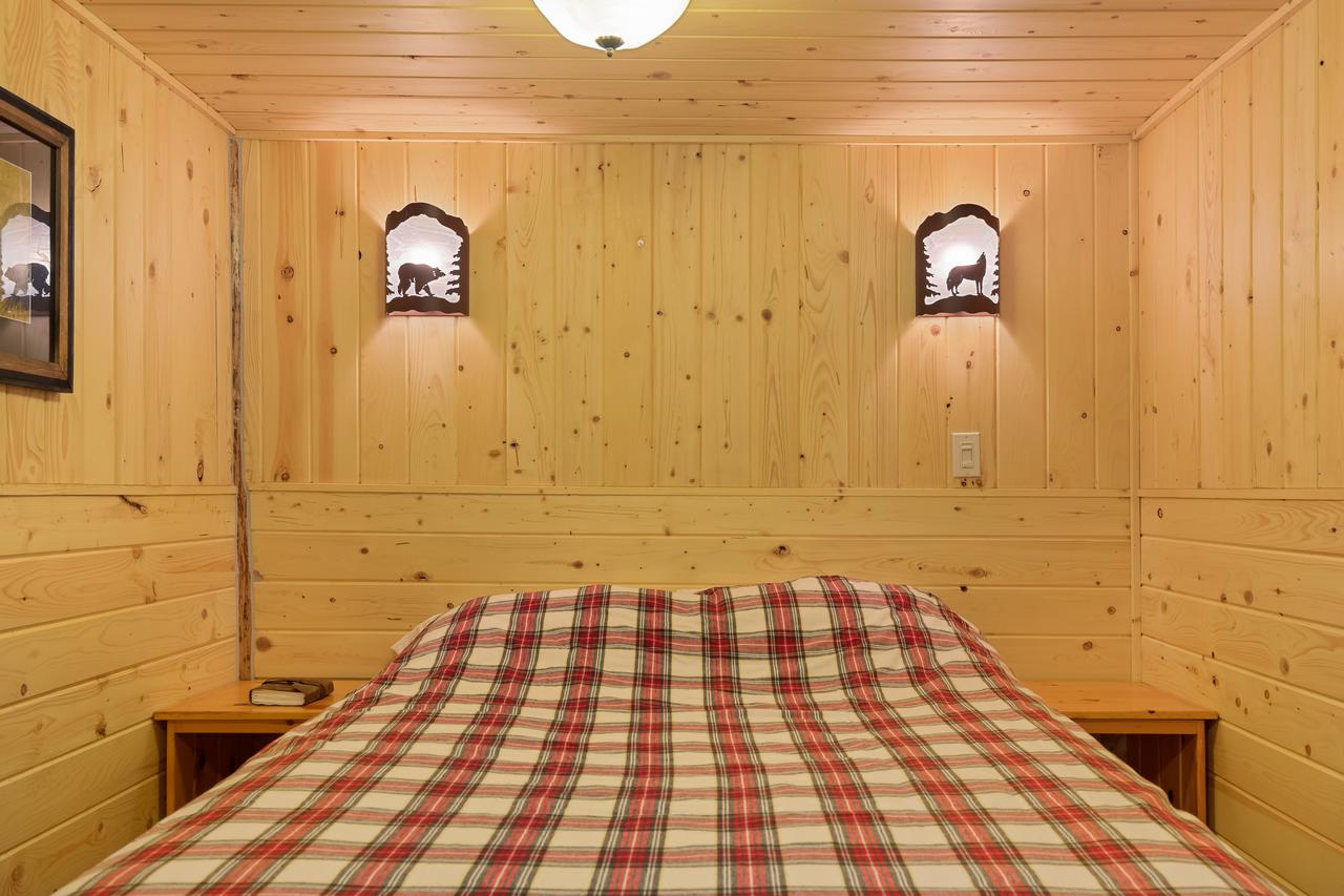 Little Fox - thumb 9