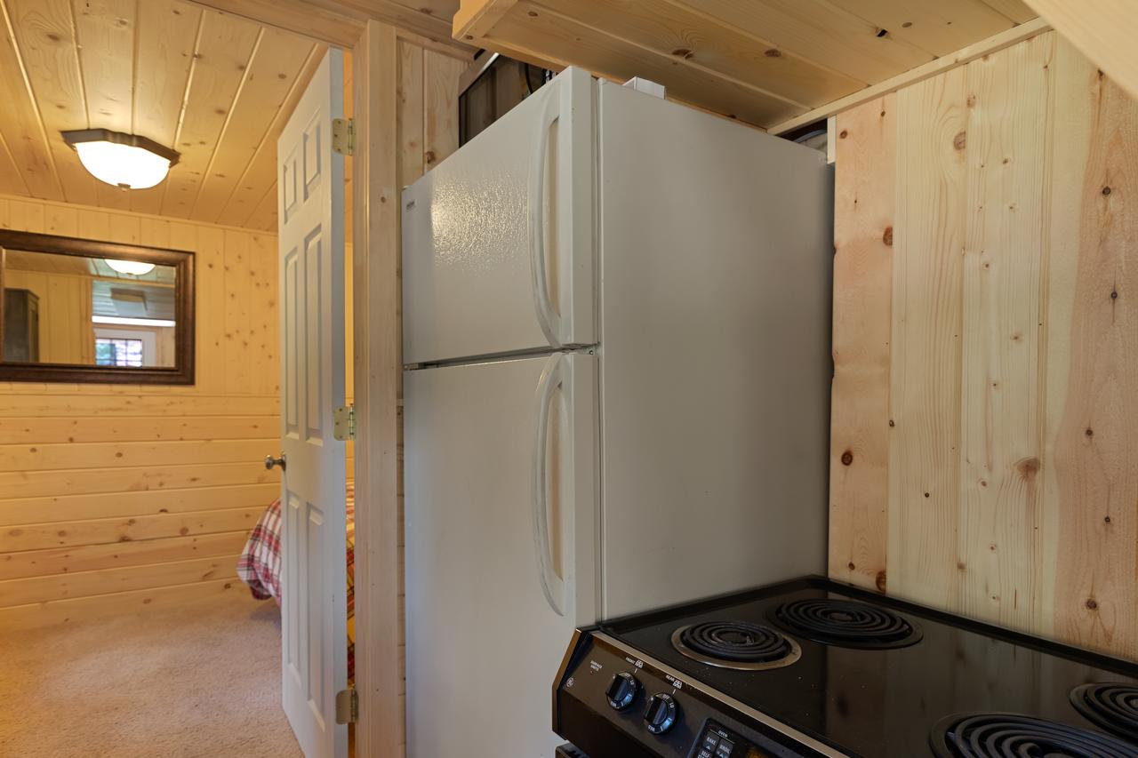 Little Fox - thumb 6