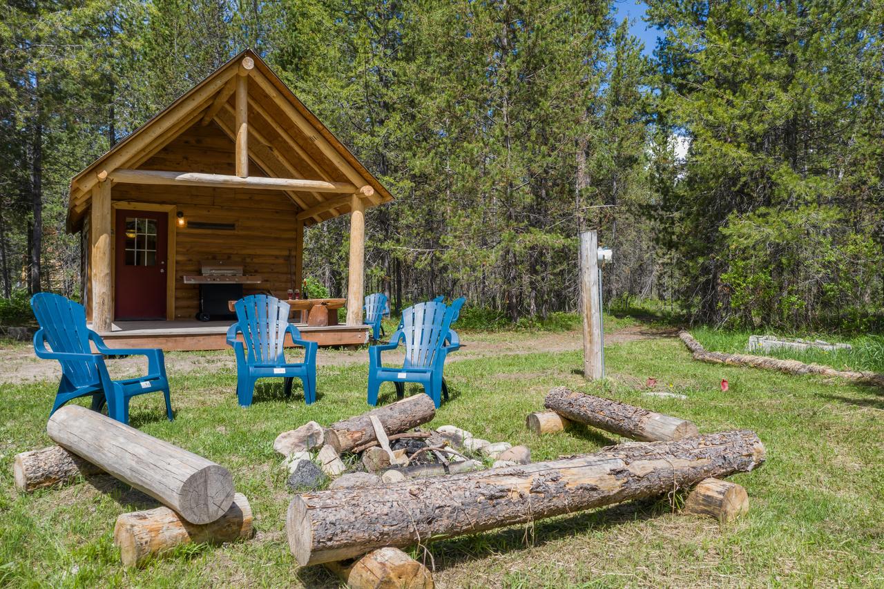 Little Fox - thumb 39