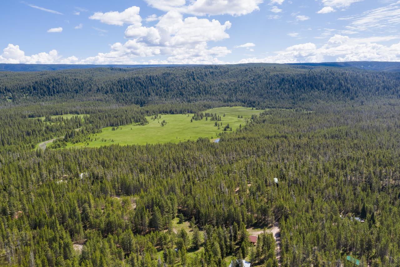 Little Fox - thumb 41