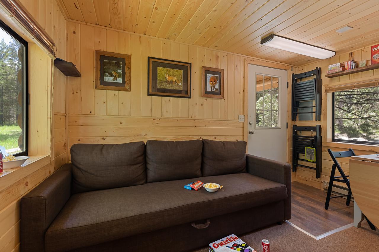 Little Fox - thumb 19