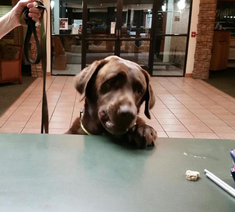 AmericInn By Wyndham Garden City - thumb 14