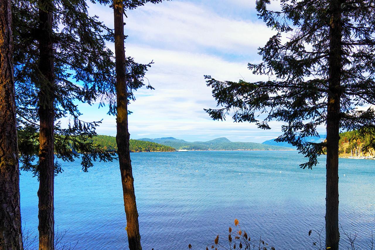 16 Swifts Bay - thumb 24