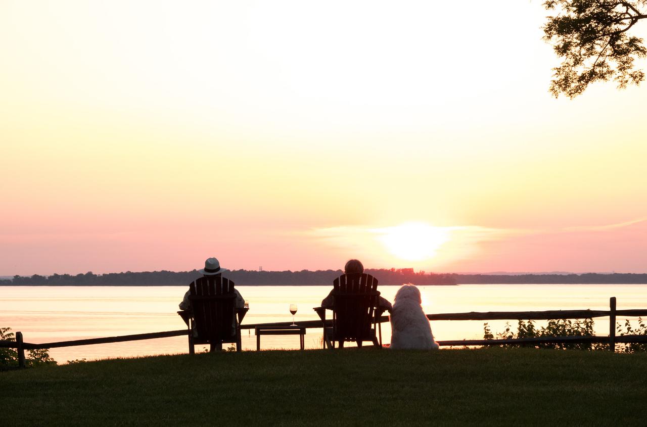 Great Oak Manor - thumb 7