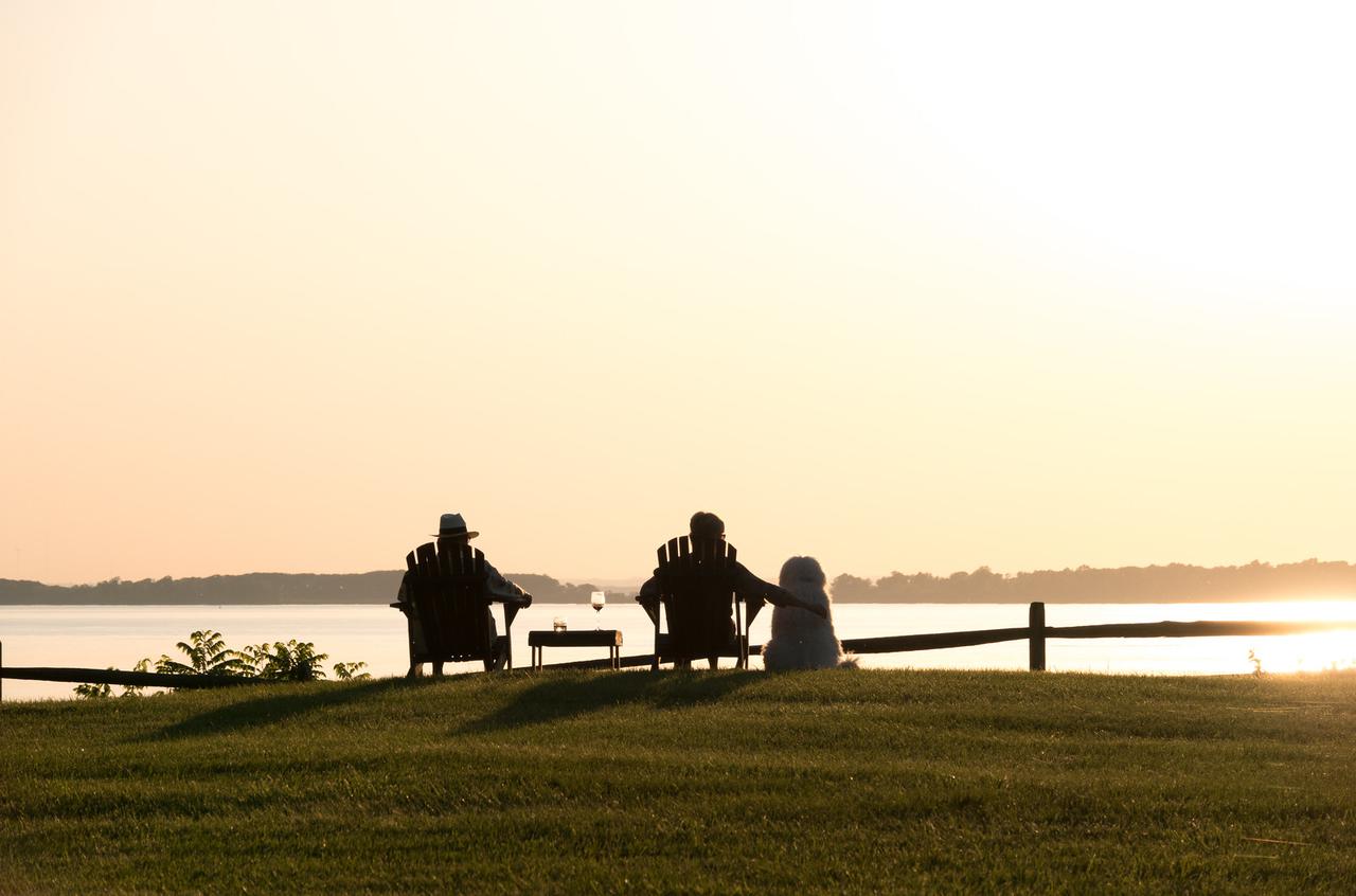 Great Oak Manor - thumb 5