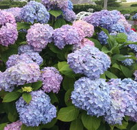 The Hawthorne - Accommodation Dallas