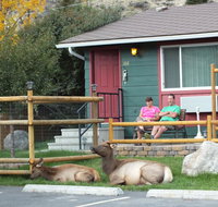 Yellowstone Gateway Inn - Accommodation Dallas