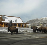Cowboy's Lodge - Accommodation Dallas