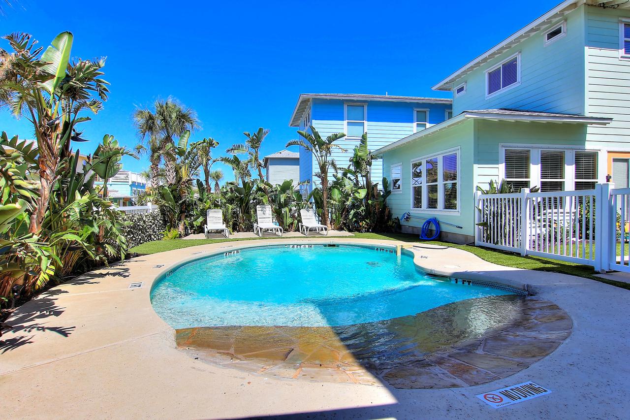 VW67 - Whale Of A Time - thumb 29