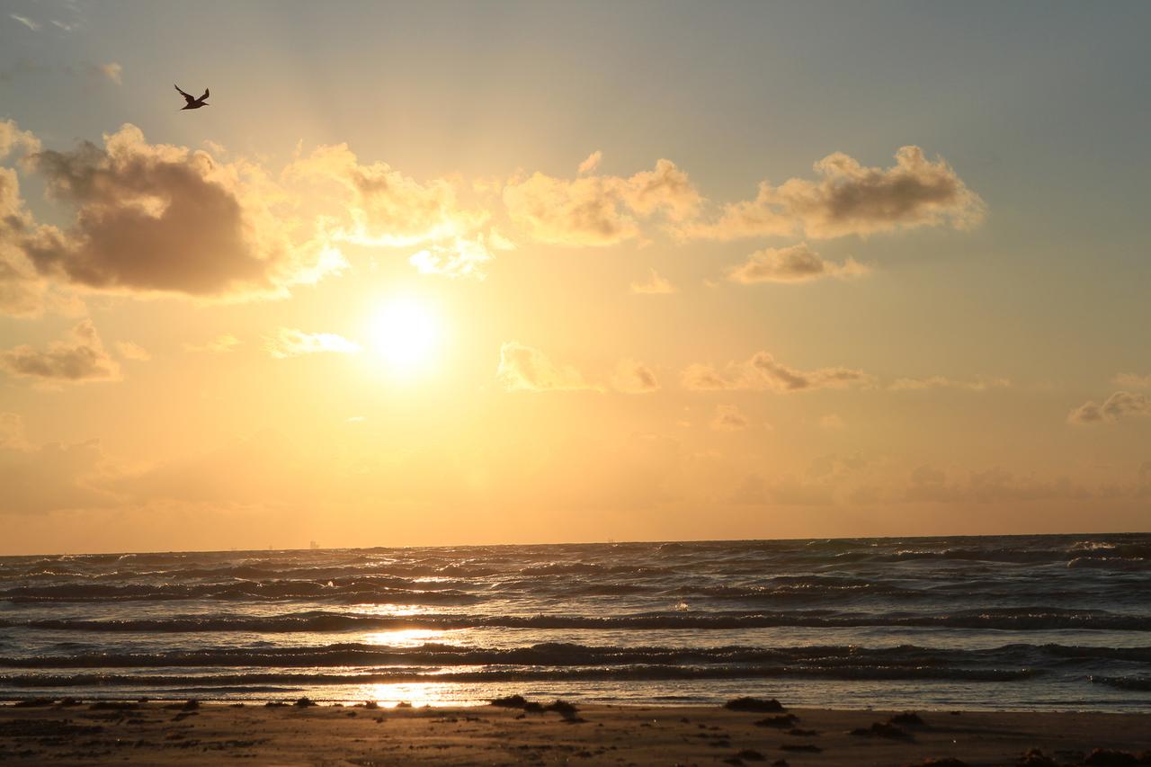 Ocean Sounds 2086Sp Home - thumb 15