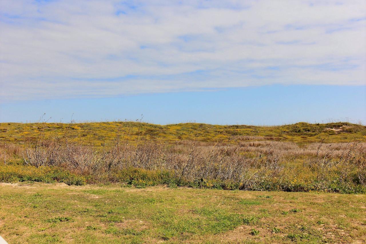 Grand Caribbean #1002 Gc1002 Condo - thumb 20