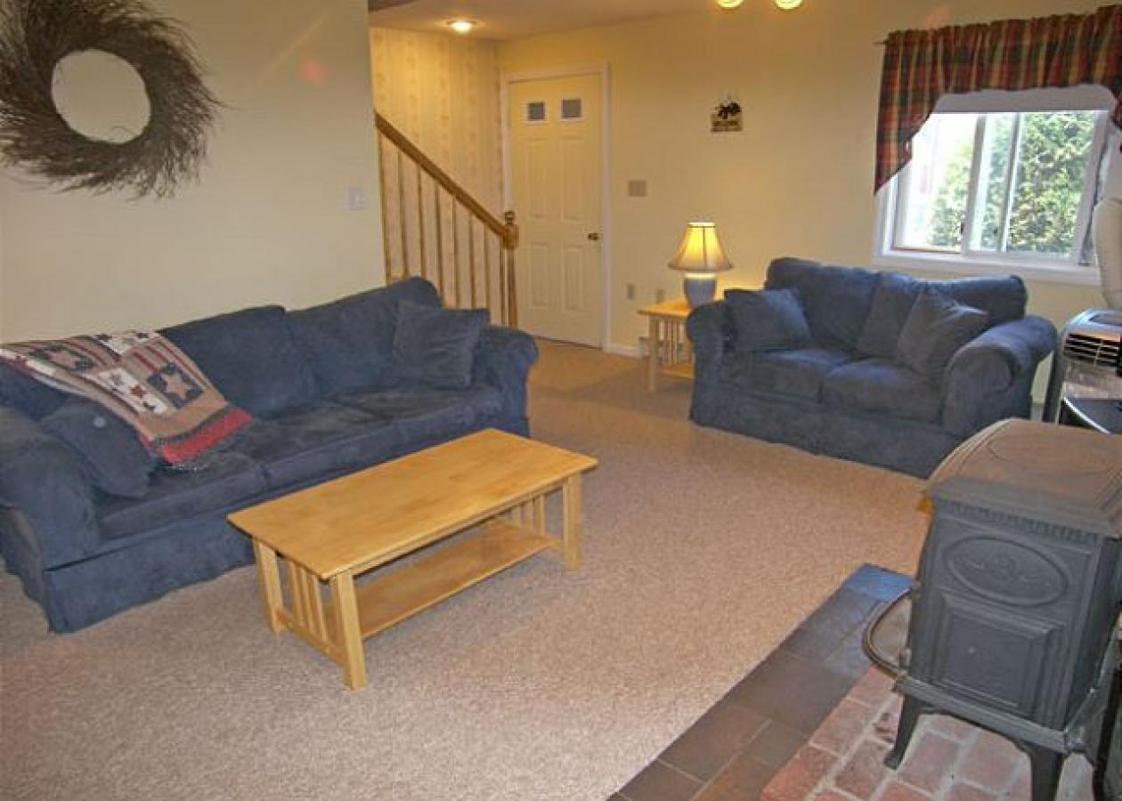 Alpine Village Resort 155 - thumb 5