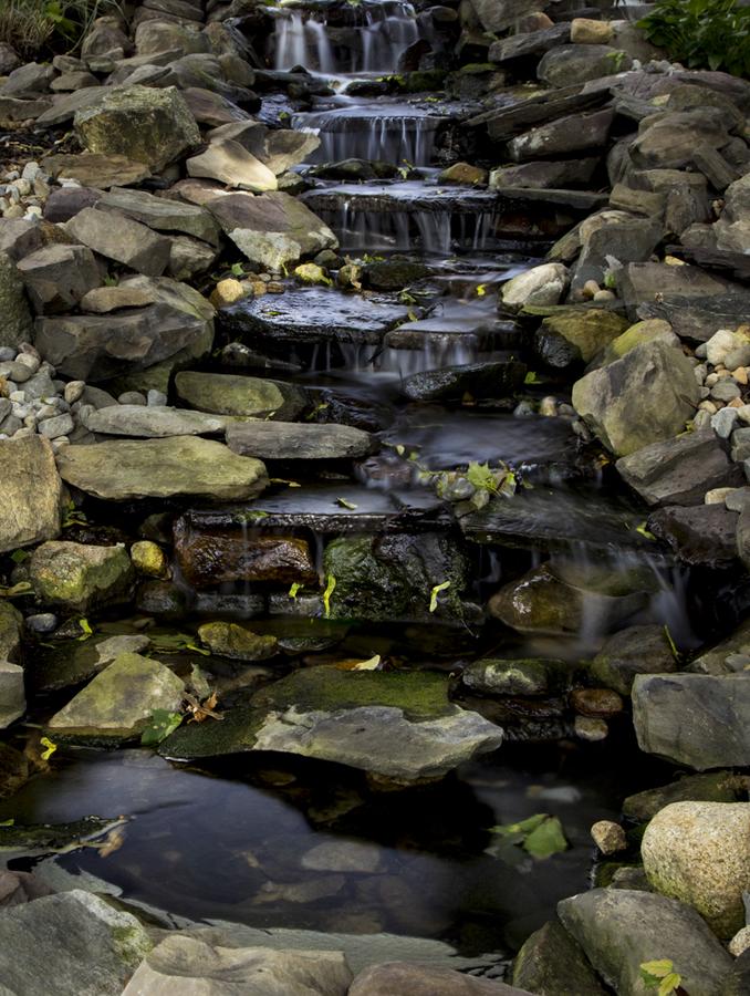 Whistling Swan Inn - thumb 5