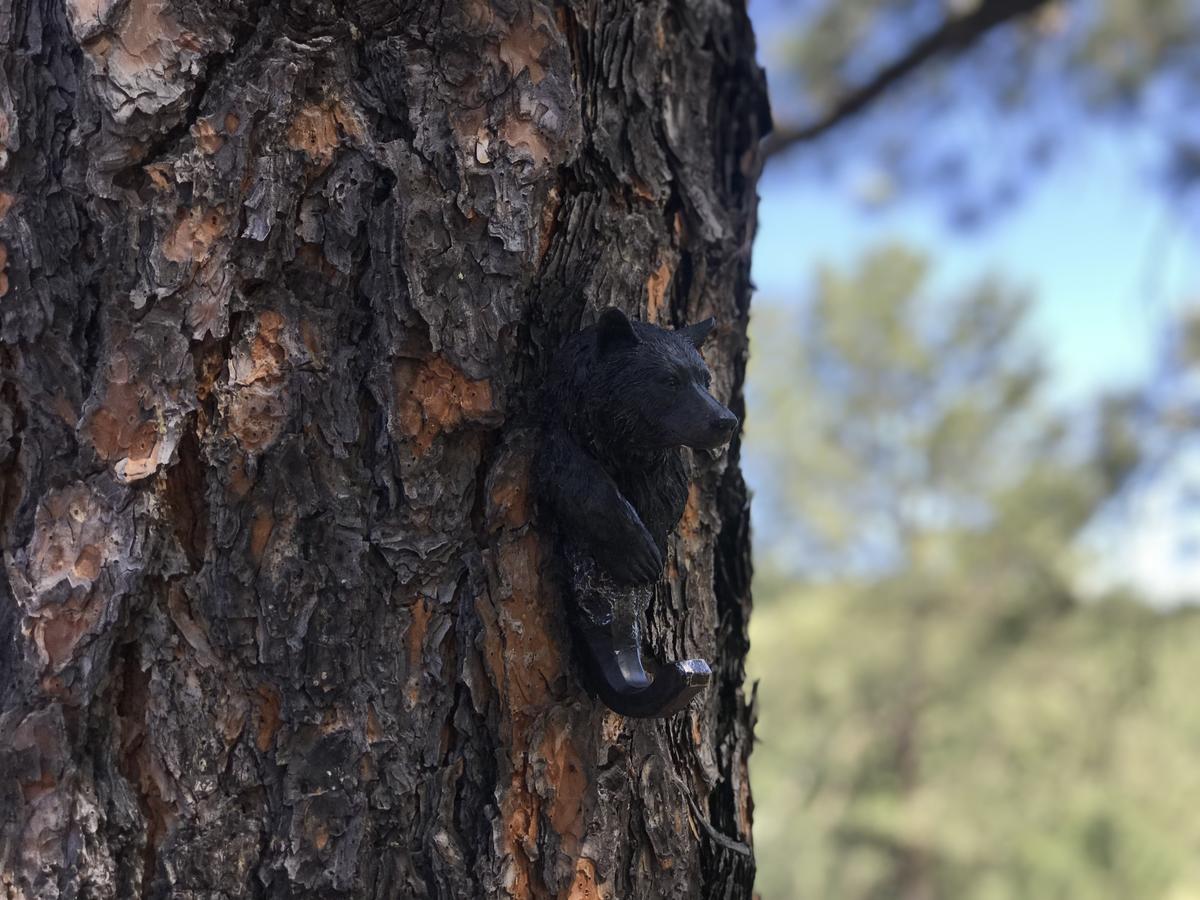 Gonzales Cozy Little Bear Cabin - thumb 9