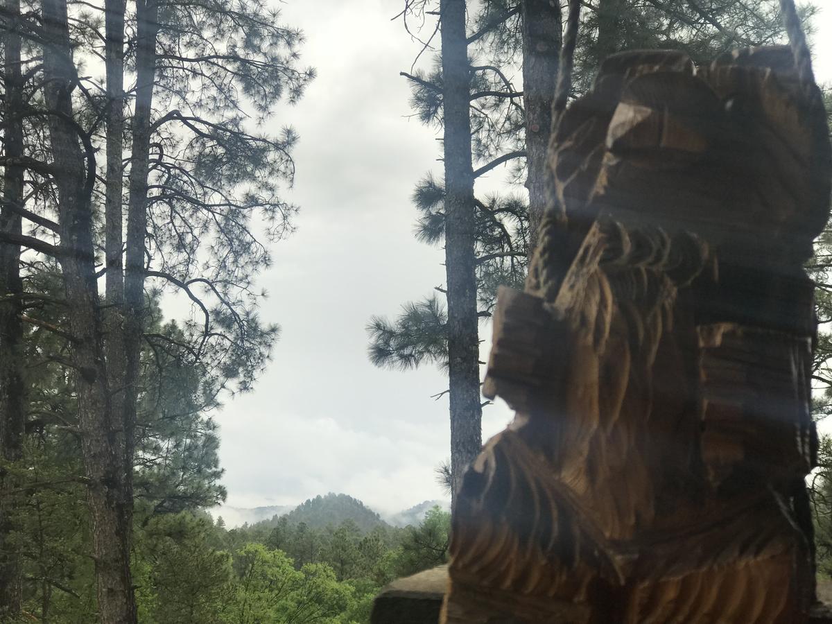 Gonzales Cozy Little Bear Cabin - thumb 38