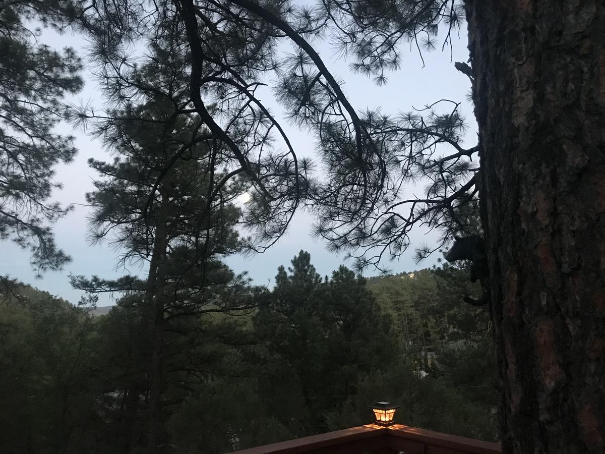 Gonzales Cozy Little Bear Cabin - thumb 32