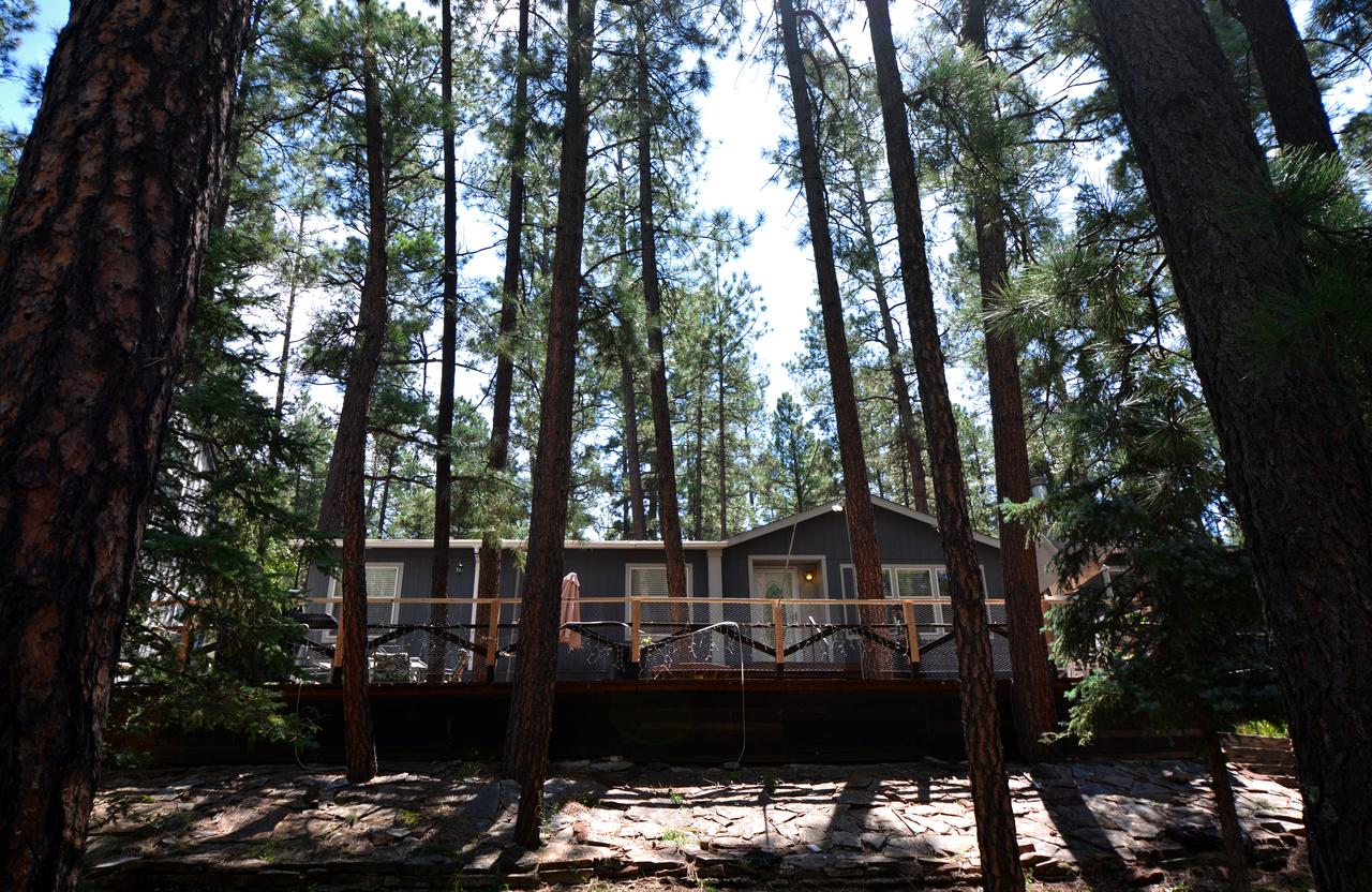 Mimi's Cabin - thumb 0