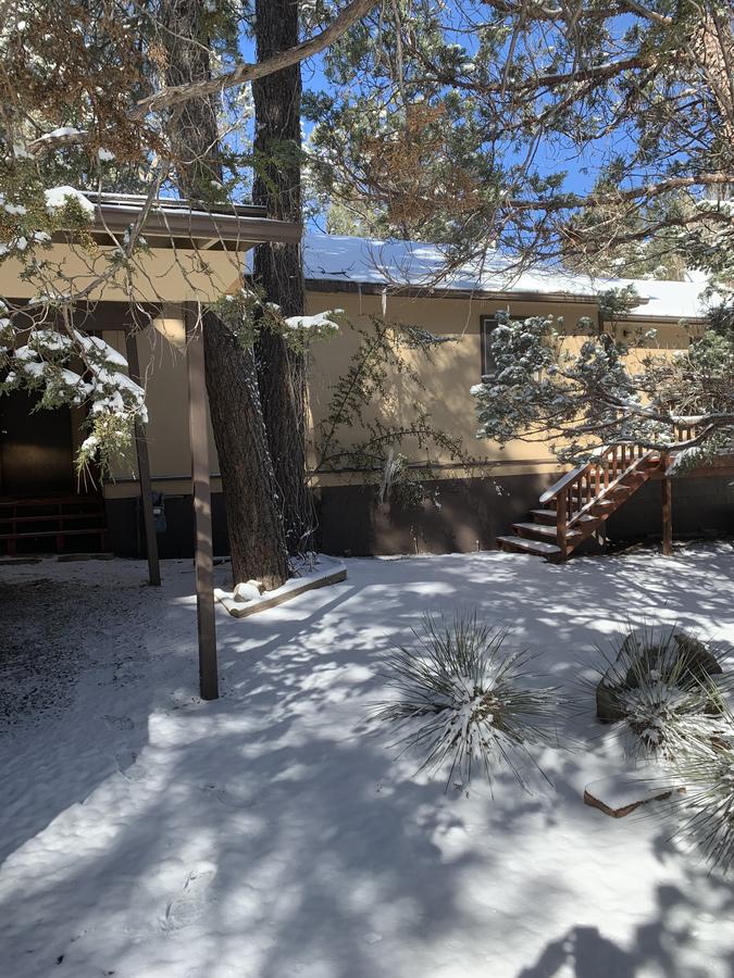 Clover Corner - thumb 8