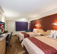 Red Roof Inn Hickory - Accommodation Dallas