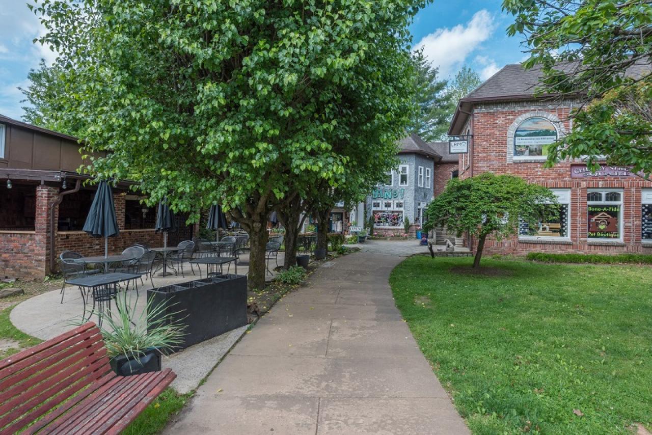 Almost Bearadise - thumb 2