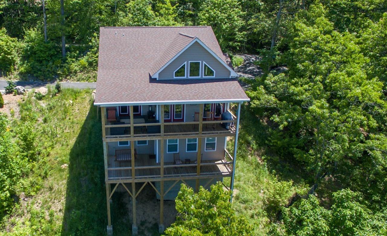 Almost Bearadise - thumb 7