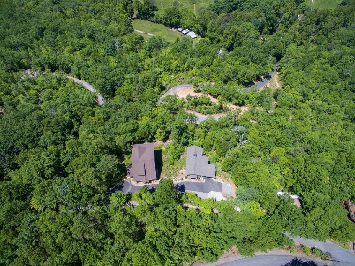 Almost Bearadise - thumb 23