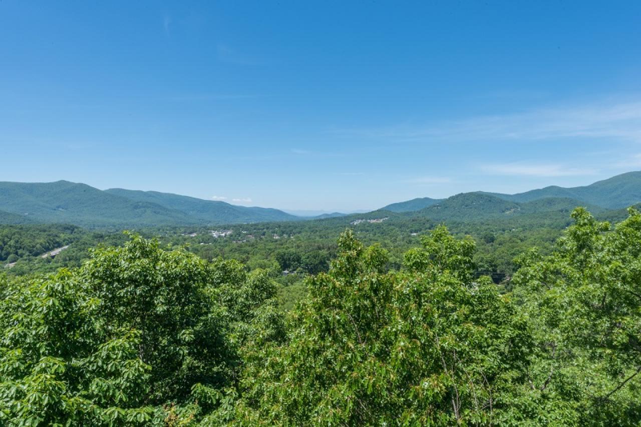 Almost Bearadise - thumb 6