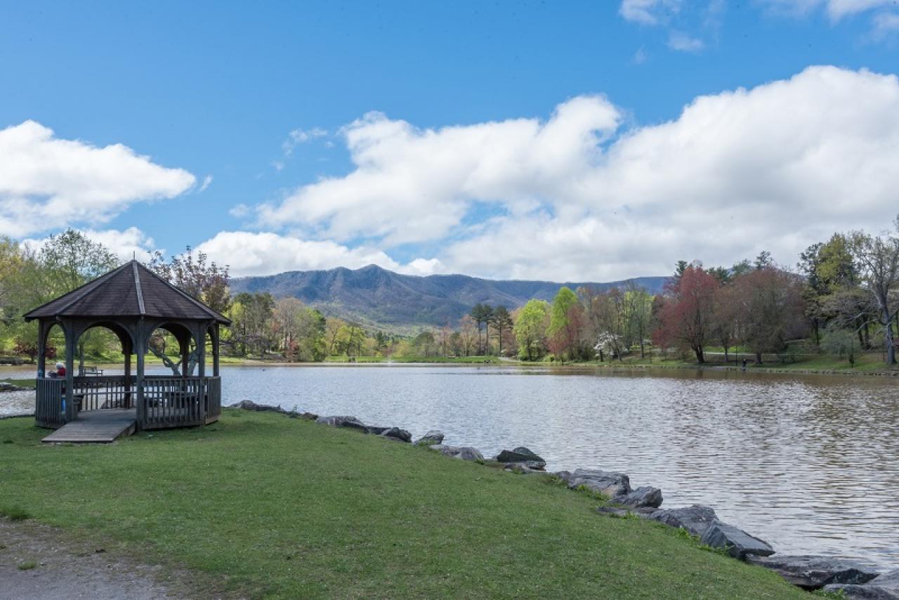 Almost Bearadise - thumb 3