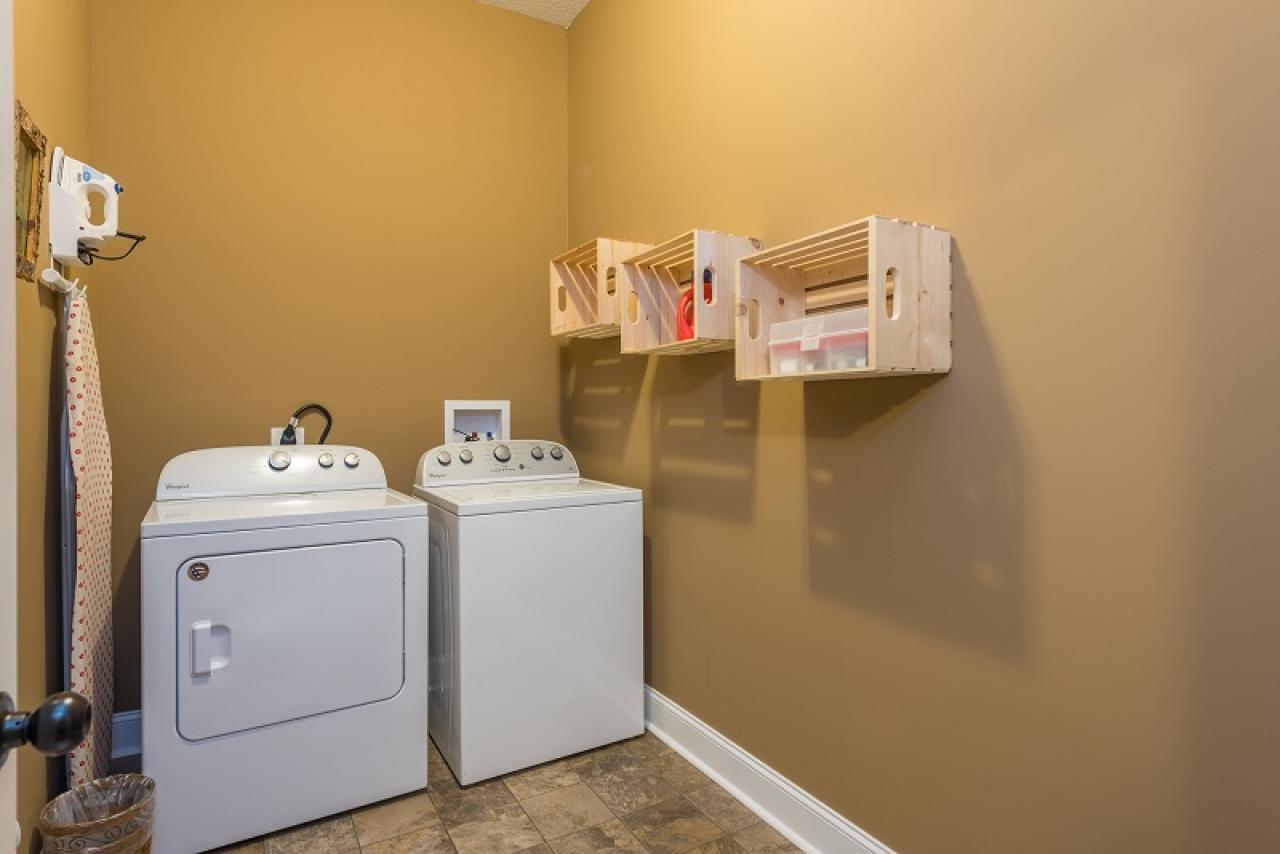 Almost Bearadise - thumb 14