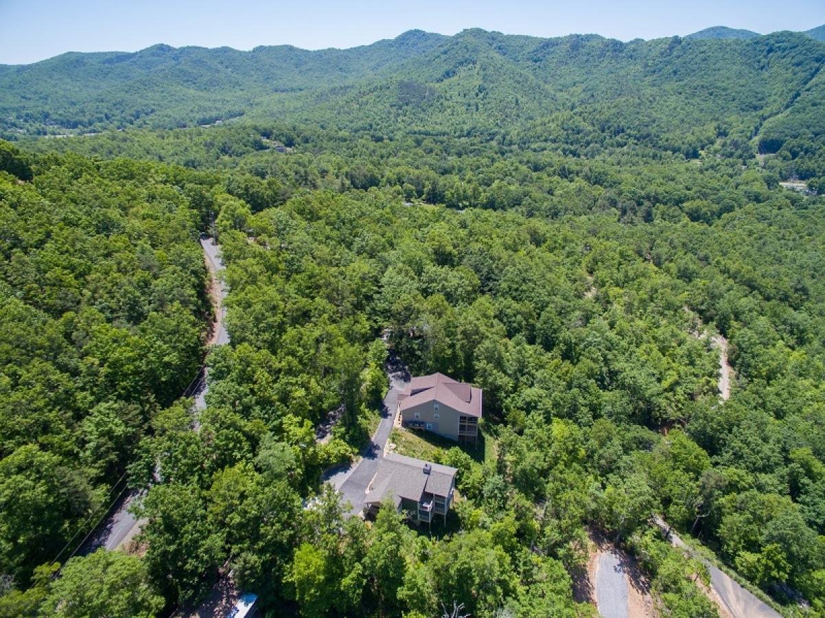 Almost Bearadise - thumb 9