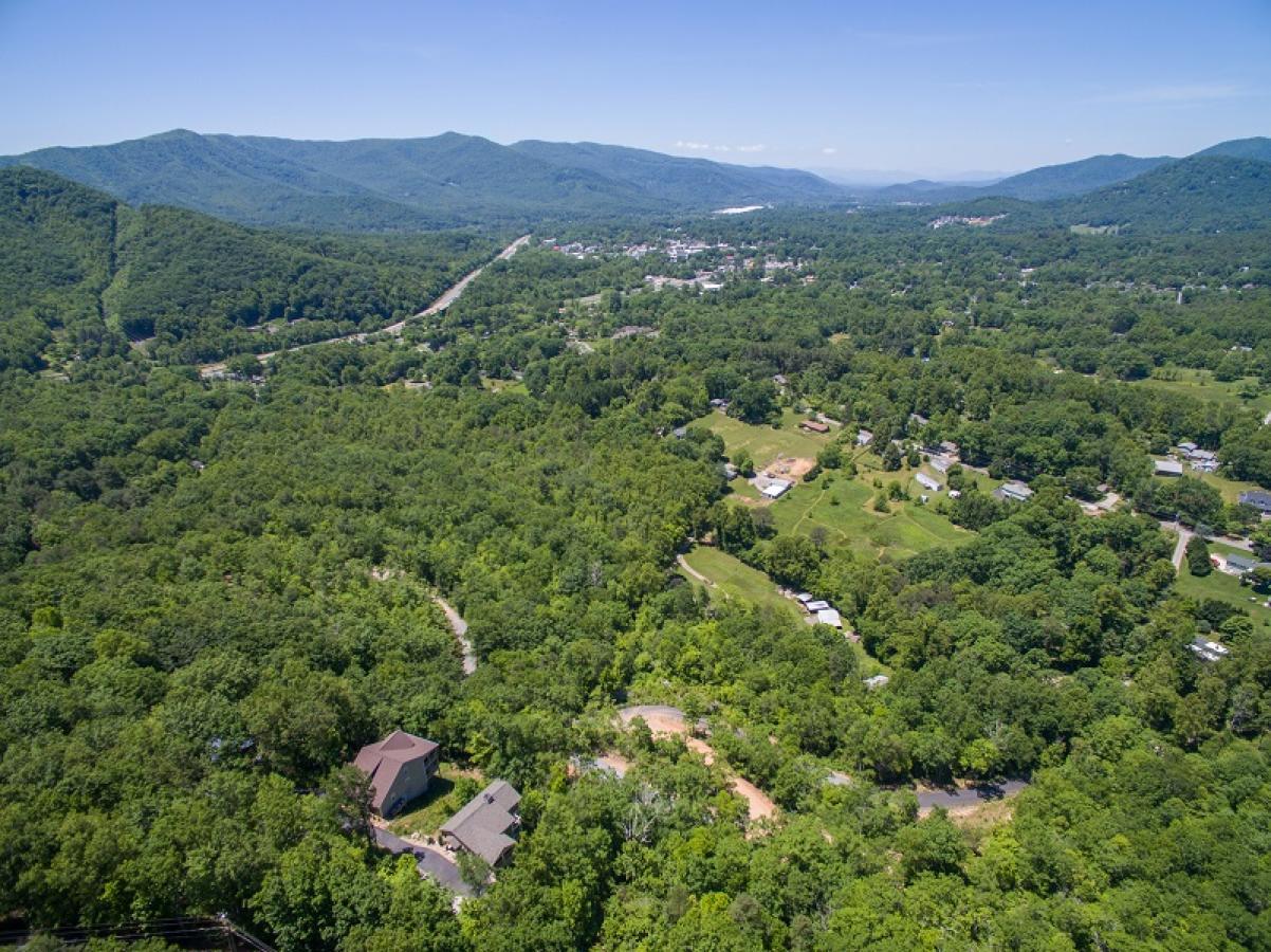 Almost Bearadise - thumb 31