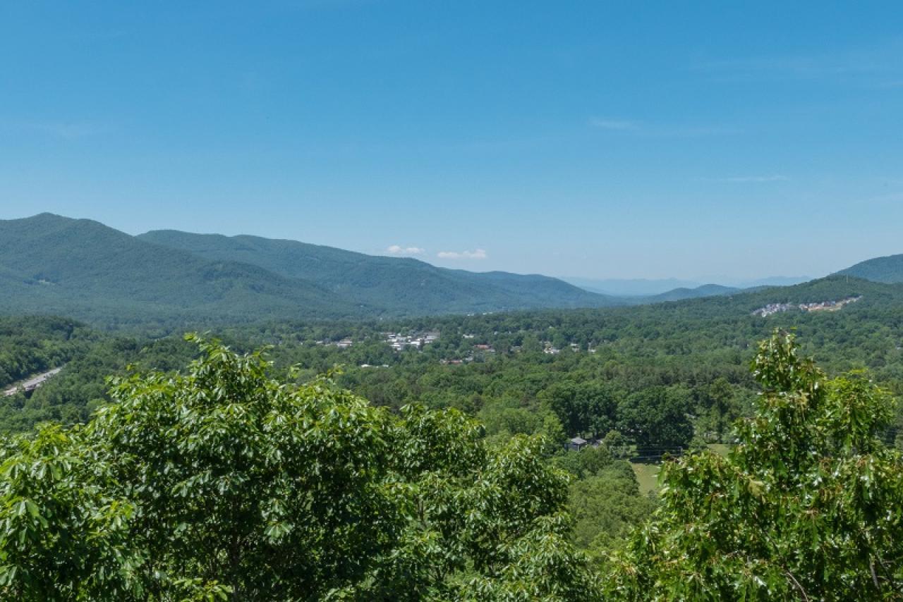 Almost Bearadise - thumb 12