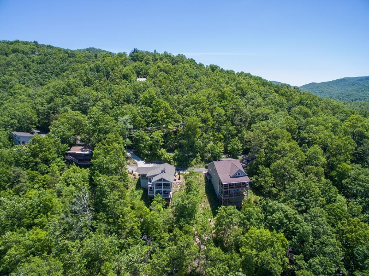 Almost Bearadise - thumb 39