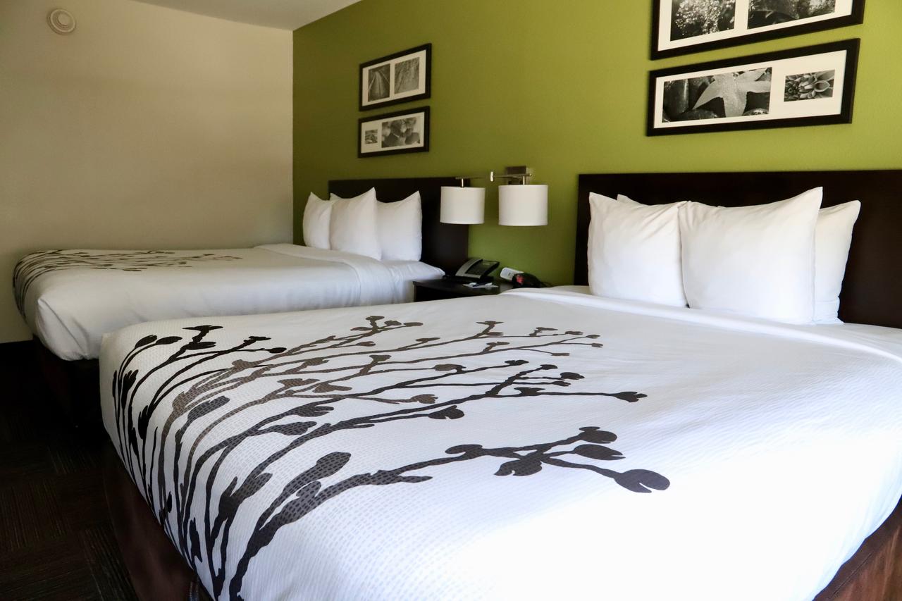 Sleep Inn & Suites Belmont - St. Clairsville - thumb 2