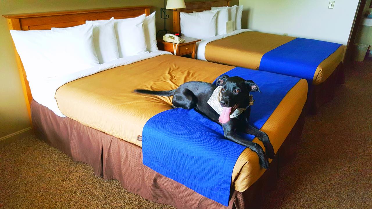 Lodging On The Square - thumb 22