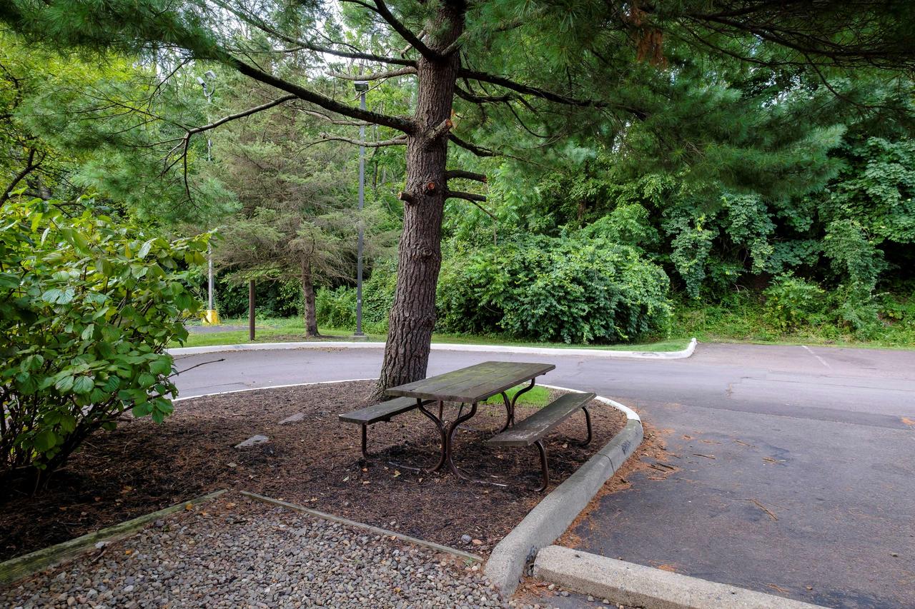 Red Roof Inn Danville, PA - thumb 7