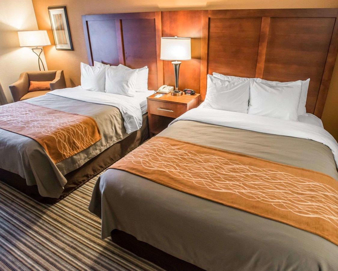 Comfort Inn At The Park - thumb 4