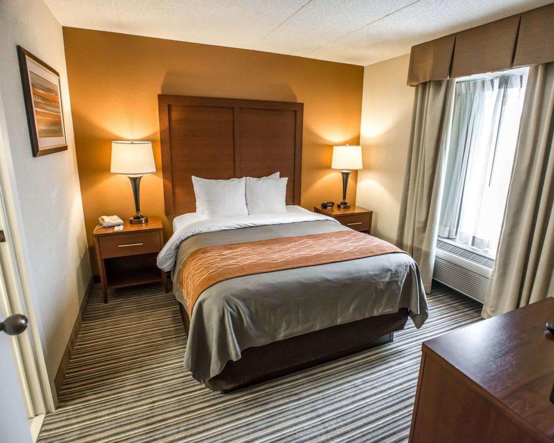 Comfort Inn At The Park - thumb 22