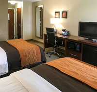 Comfort Inn Clemson - University Area - Accommodation Dallas