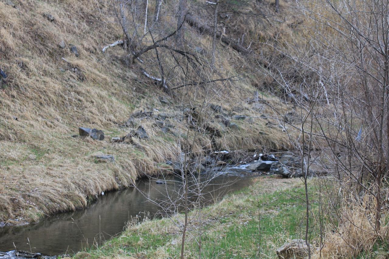 The Brookside Motel / Mt. Rushmore - thumb 9