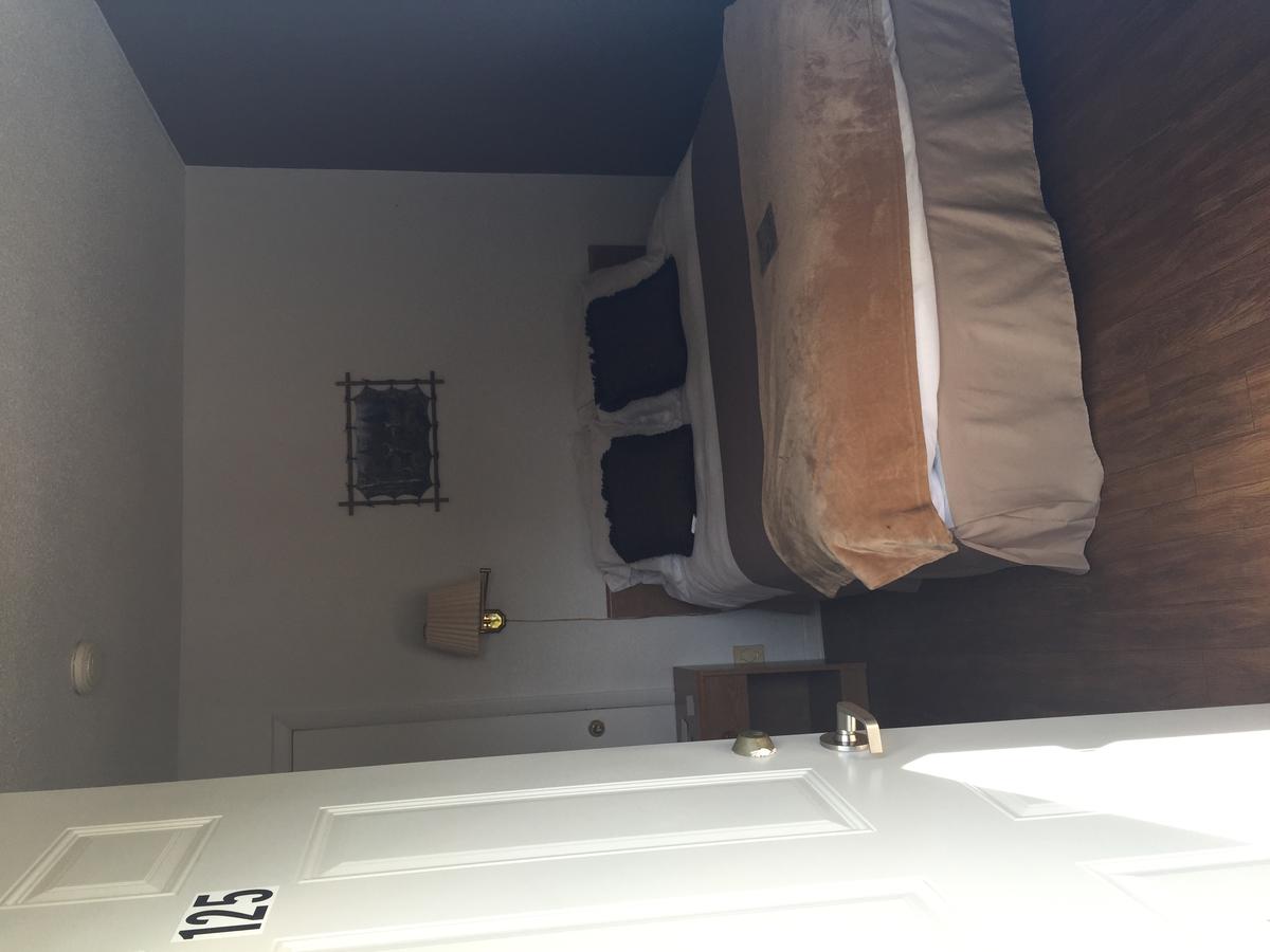 The Brookside Motel / Mt. Rushmore - thumb 39