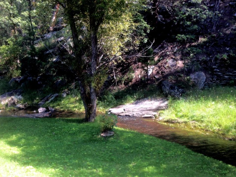 The Brookside Motel / Mt. Rushmore - thumb 25