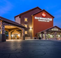 Best Western Plus Cotton Tree Inn - Accommodation Dallas
