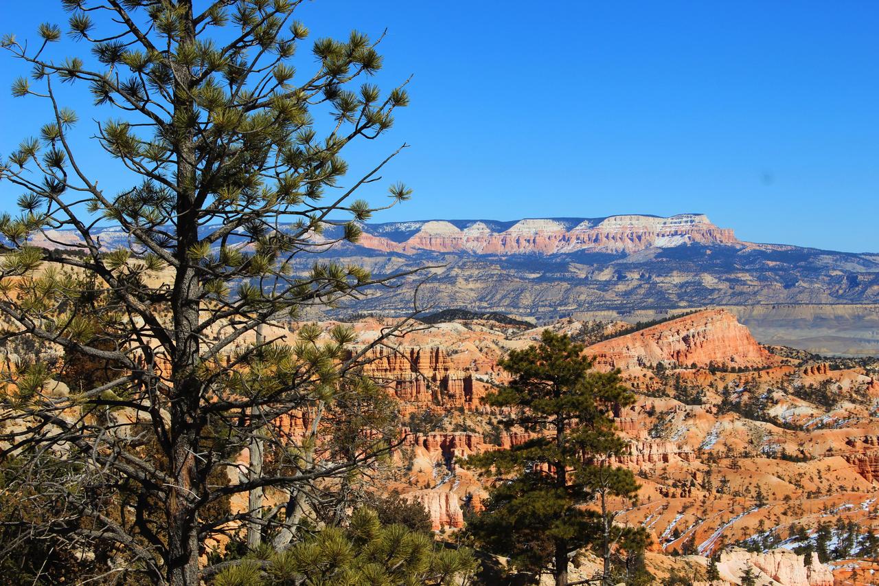 Bryce Valley Lodging - thumb 11