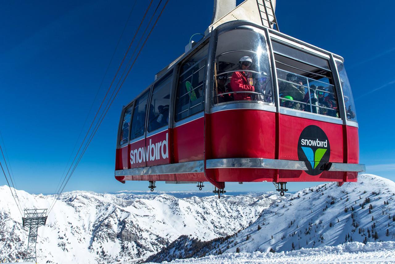 #50 Ski Haven At Big Cottonwood - thumb 42