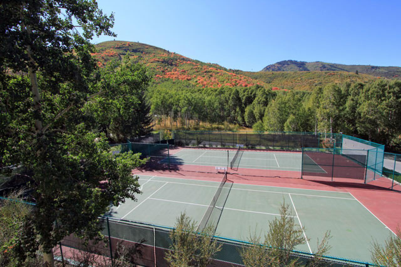 Snow Flower #062 - thumb 25