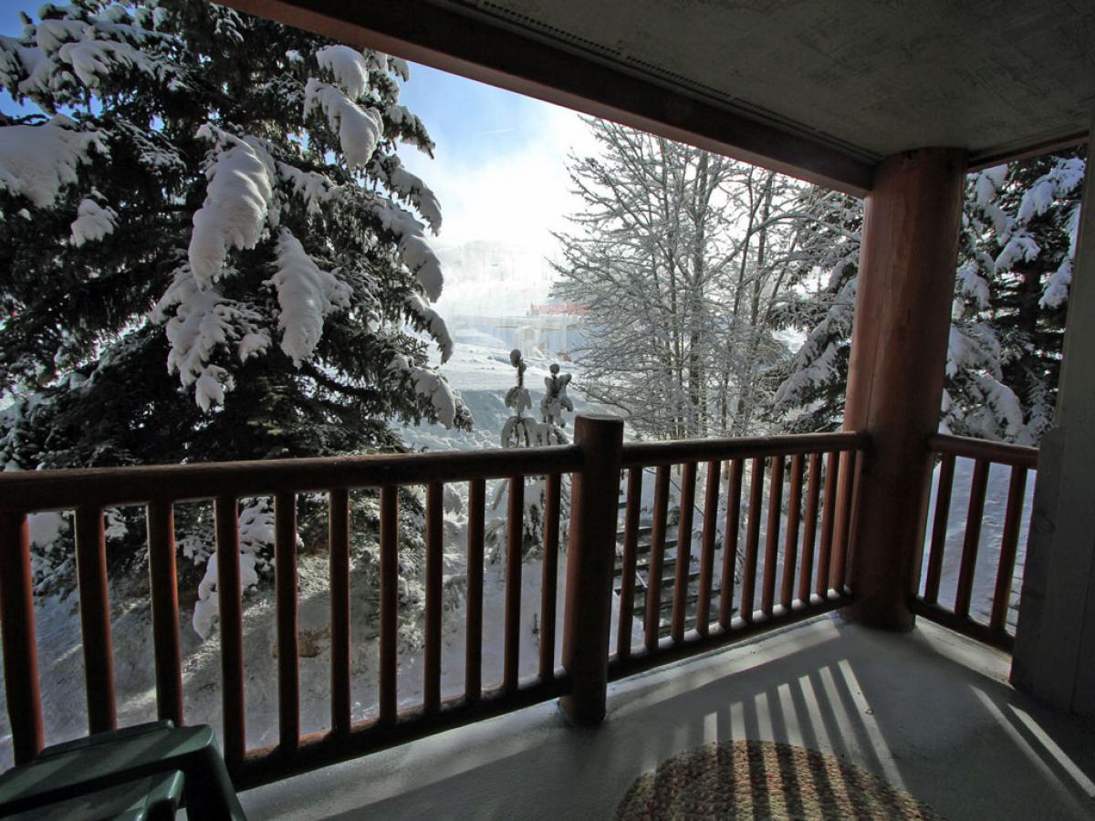 Snow Flower #062 - thumb 12