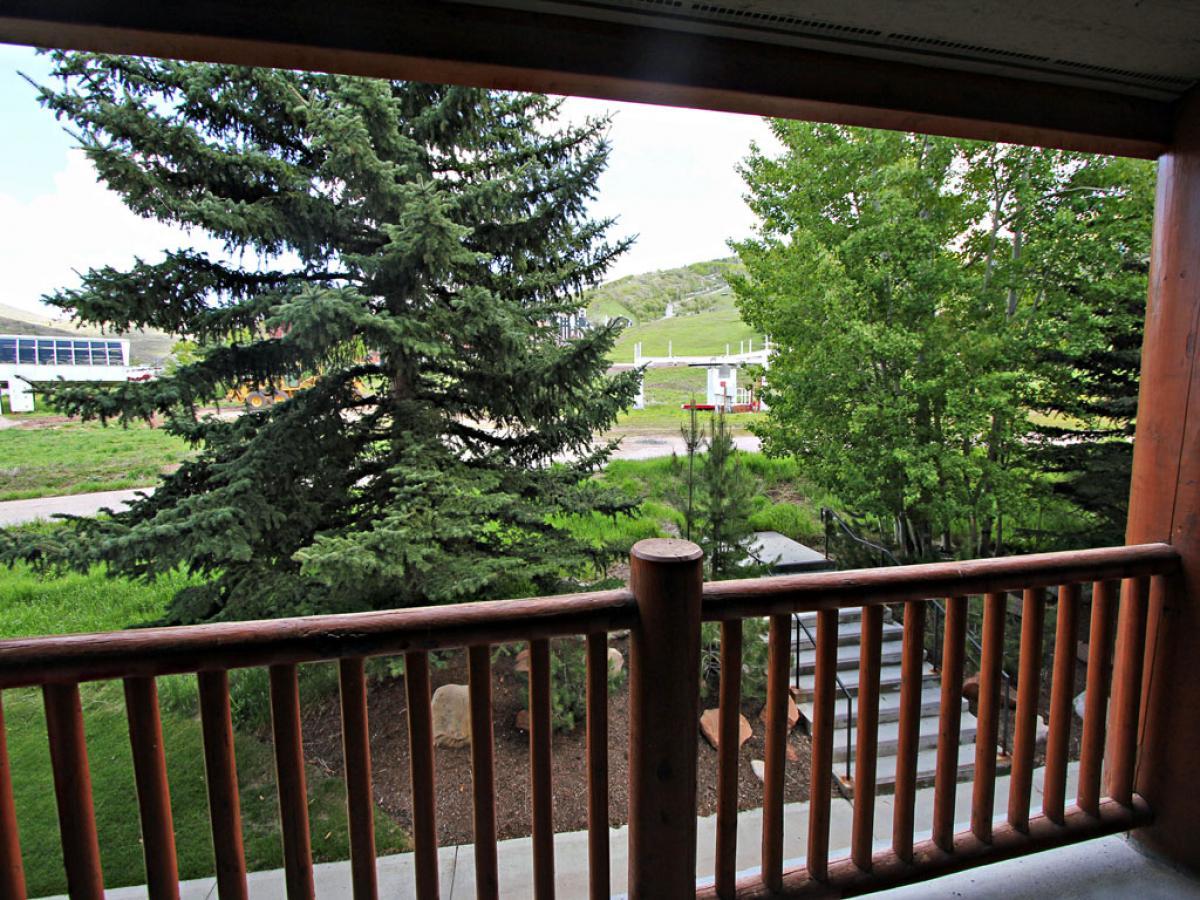 Snow Flower #062 - thumb 7