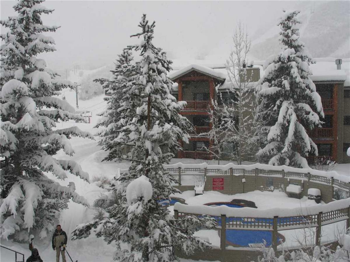 Snow Flower #062 - thumb 10