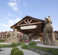 Great Wolf Lodge Williamsburg - Accommodation Dallas